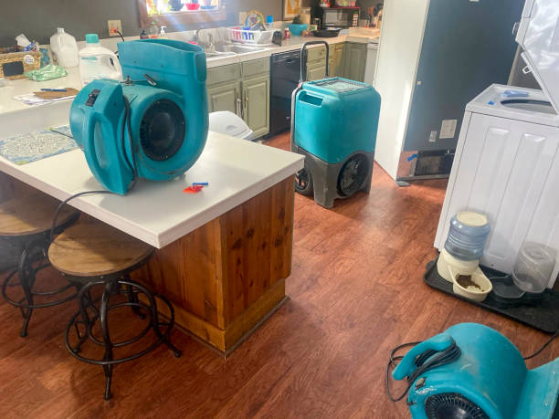 Best Water damage restoration mold remediation  in Ogdensburg, NJ