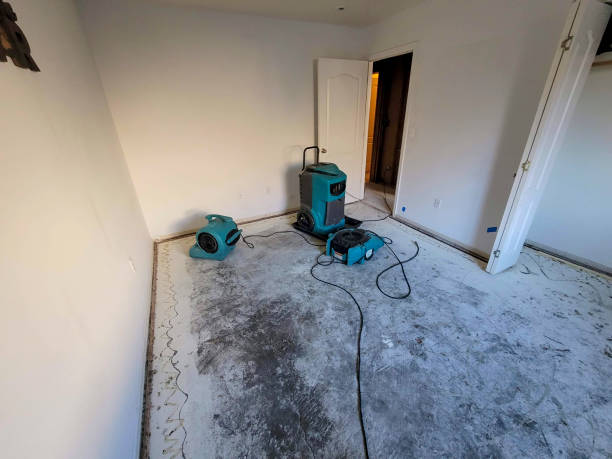 Best Water damage restoration near me  in Ogdensburg, NJ