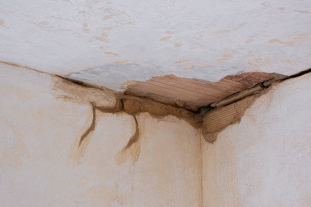 Carpet water damage restoration in Ogdensburg, NJ