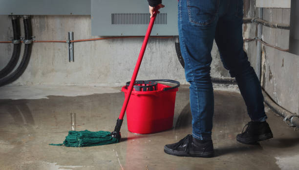 Best Basement water damage restoration  in Ogdensburg, NJ