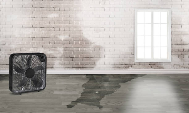 Best Fire Damage Restoration  in Ogdensburg, NJ