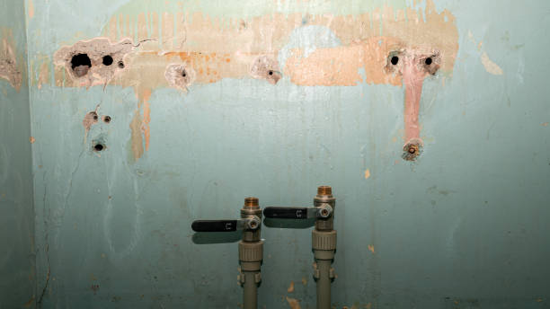 Best Professional water damage repair  in Ogdensburg, NJ