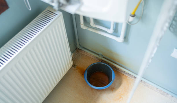 Best Professional water damage repair  in Ogdensburg, NJ