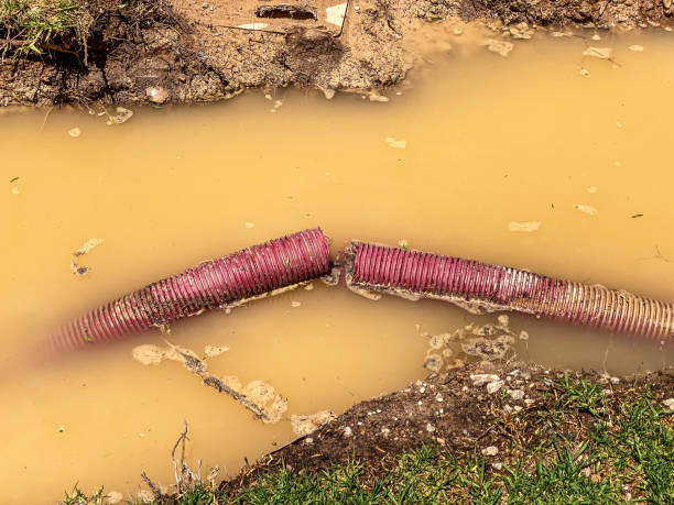 Best Flood damage cleanup  in Ogdensburg, NJ