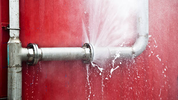 Best Water damage cleanup near me  in Ogdensburg, NJ